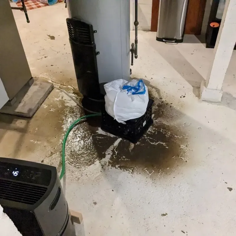 Sewage Backup Cleanup Service in Croom, MD